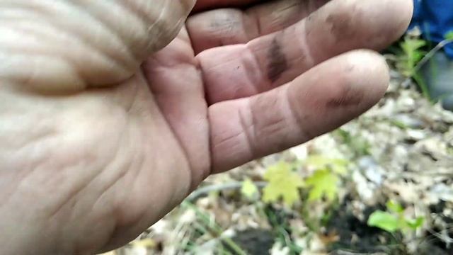 коп 2022 г, давно мечтал найти такую монетку !!! смотреть онлайн