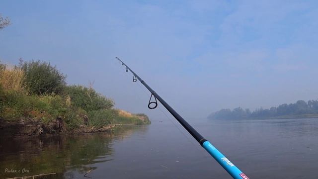 Рыбалка на Спиннинг в ДИКОМ Коряжнике на ОКЕ 2022! смотреть онлайн