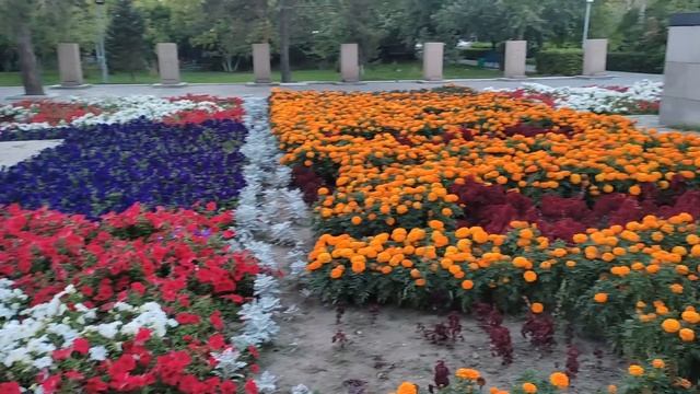 Впечатления, цены на масла, интересное. Побывал в Казахстане г. Семей, бывший Семипалатинск. смотреть онлайн