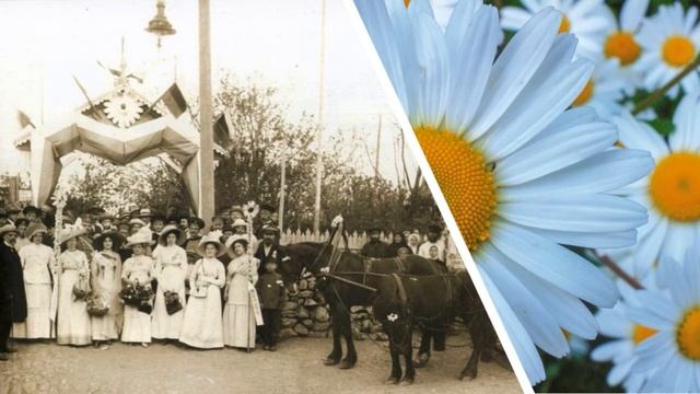 Видеопрезентация "День белого цветка" смотреть онлайн