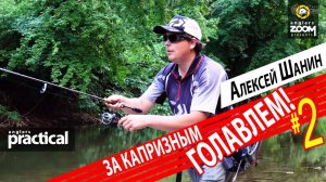 Капризный голавль на попперы в летнюю жару. Алексей Шанин. 2 Часть. Anglers Practical