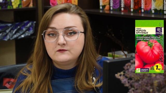 ТОП 5 Сортов томатов для теплицы от Агрофирмы Семена Алтая смотреть онлайн