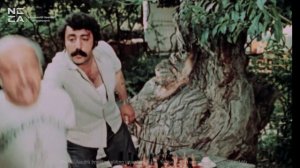 Թթենի 1980 - Հայկական ֆիլմ / Tteni 1980 - Haykakan Film / Шелковица 1980