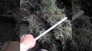 Поднятие целины тяжёлым мотоблоком Скаут15DE. Часть1.