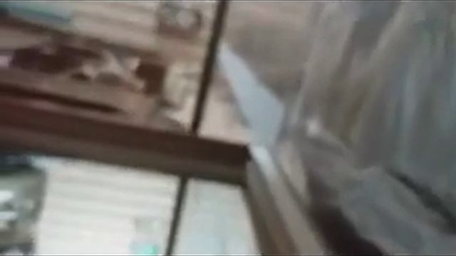 Microwave Auditory Effect 2019 Russia смотреть онлайн