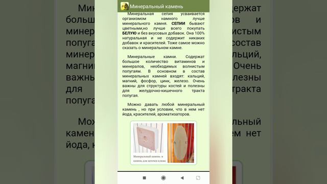 Минеральный камень для волнистого попугая смотреть онлайн