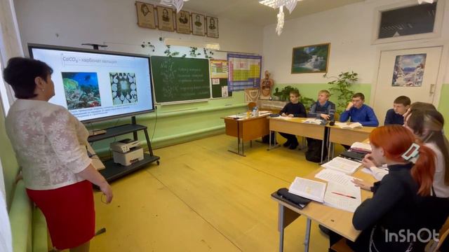 Открытый урок по химии в 8 классе по теме "Соли" смотреть онлайн