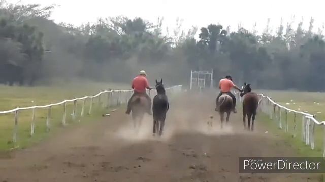DOS GRANDES DE LA CUADRA SAN JUDAS TADEO смотреть онлайн