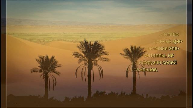 Удобрения и почвообразователи для преобразования пустынь смотреть онлайн