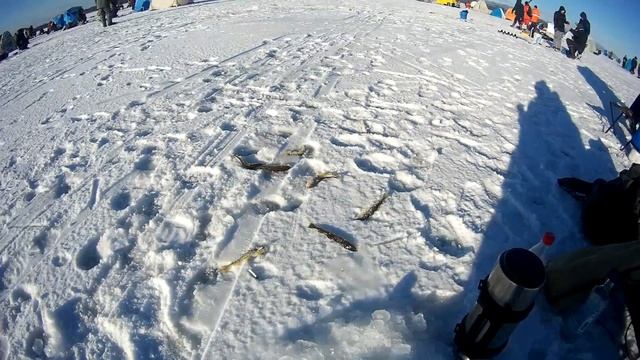 РЫБАЛКА В НОВОМ ГОДУ!2019 НОВАЯ ЛОКАЦИЯ смотреть онлайн