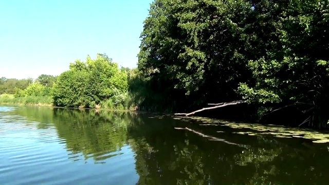 Родионова Ольга. Моя утренняя рыбалка на Медведице 04 07 2015. Новости Жирновска - форум ЖИРАФ смотреть онлайн