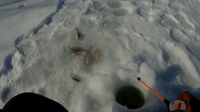 река Ивкинка, рыбалка. смотреть онлайн