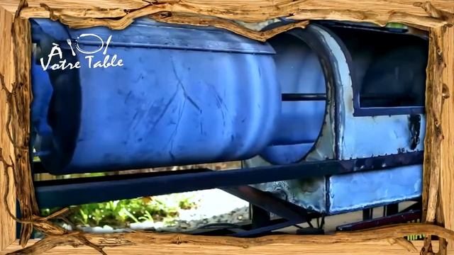 ☕️?Какой кофе - самый дорогой в мире и как его добывают❓ смотреть онлайн