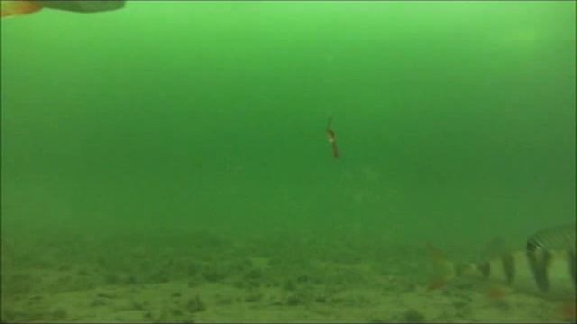 о Таватуй глубина 7и 3 м 10 03 2014 г смотреть онлайн