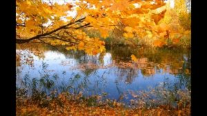 Разлука/Parting (песня сов.к/ф Гардемарины,1987). Исп: Е.Камбурова, муз: В.Лебедев, сл.: Ю.Ряшенцев