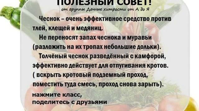 Полезные советы Дачникам и садоводам Дачные хитрости от А до Я 3 смотреть онлайн