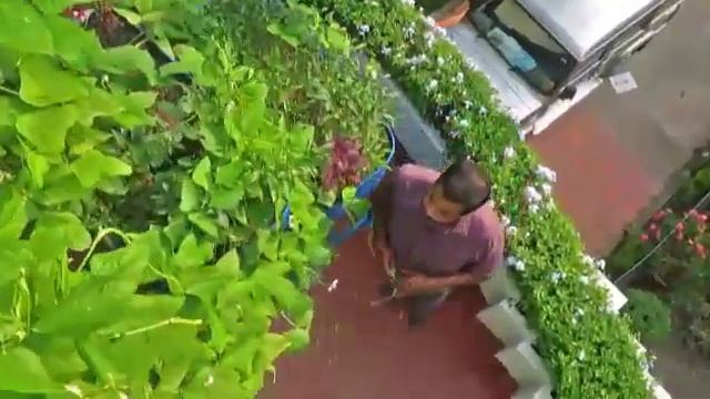 AQUAPONICS for daily life смотреть онлайн