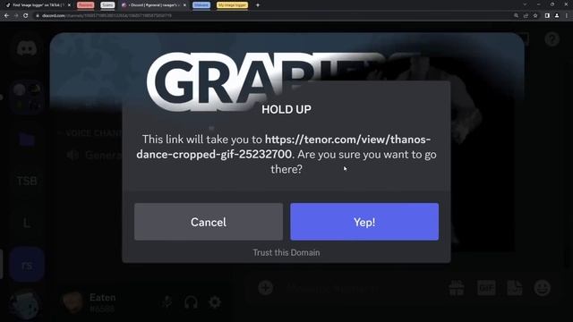 Exposing Discord Image Loggers on TikTok! смотреть онлайн