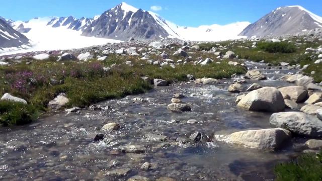 Altai tavan bogd смотреть онлайн