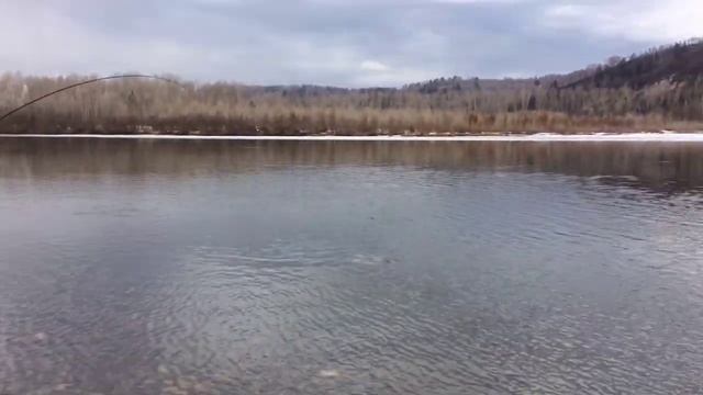 Таймень. смотреть онлайн