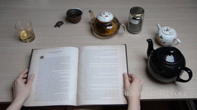 Elder Scrolls Audiobook - The Firsthold Revolt