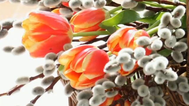 Вход Господень в Иерусалим???#православие #храм #церковь #церковныйпраздник #церковный_календарь смотреть онлайн