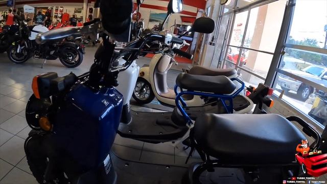 SHOULD I CUSTOMIZE ANOTHER HONDA GROM, NAVI, OR RUCKUS?! ? MOTOVLOG #5 смотреть онлайн