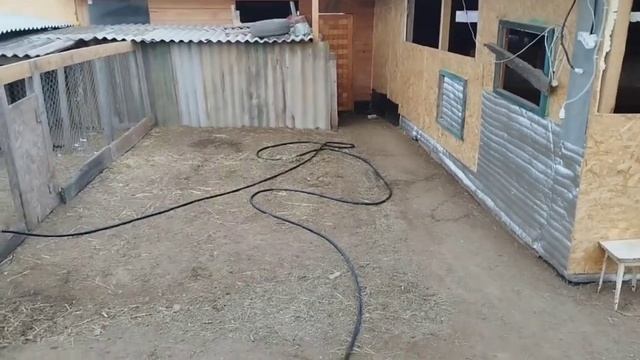 Романовские овцы: достраиваем летний навес смотреть онлайн