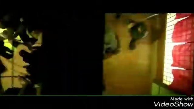 Братья тигр дракона