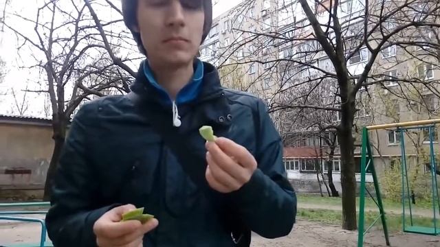 Цукаты. Петербургская орех. Комп. Помело смотреть онлайн