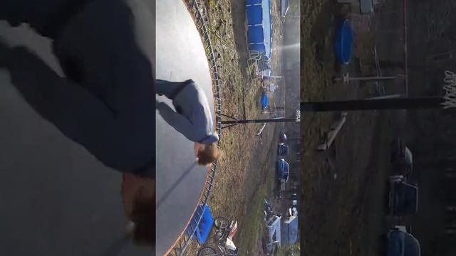The flip land смотреть онлайн