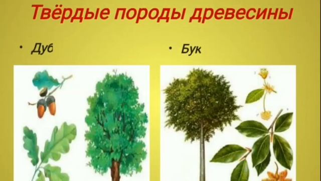 Технология.7 класс.4 четверть 2 урок