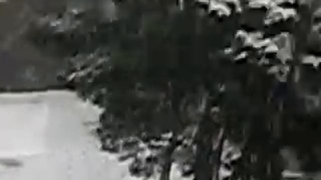 ПОДАРОК ЖЕНЩИНАМ НА 8 МАРТА))) смотреть онлайн