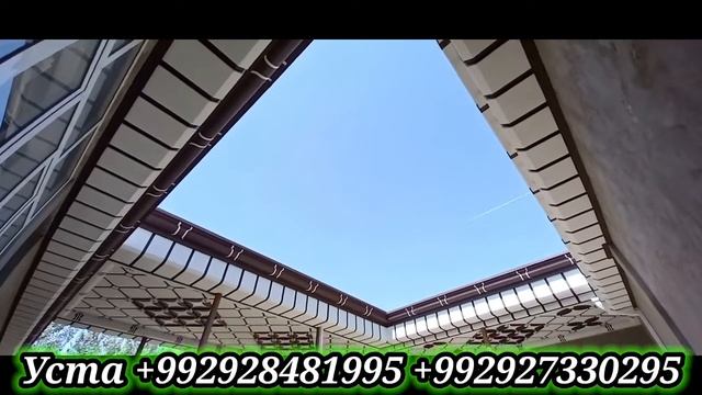 тунукафон потолок туникапон паталок Туникабонд паталок смотреть онлайн