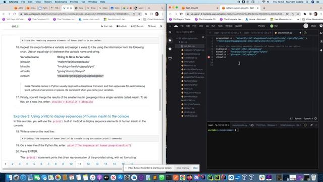 AWS-LAB11-Cloud9-Python String Sequence & Numeric Weight Of Insulin In Python смотреть онлайн