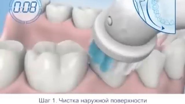 oralb-shop.net| Как правильно чистить зубы электрической зубной щеткой от Oral-B смотреть онлайн