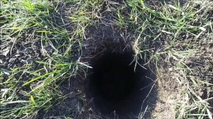 Как бурить мотобуром?! БЕНЗОБУР ADA Ground Drill 5.