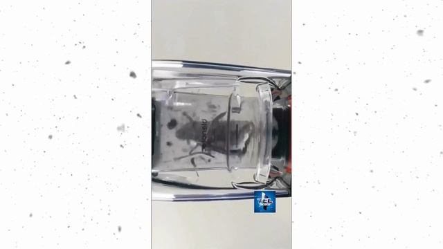 iPHONE POWDER !! TECH REELS REACT || PHONE MOS (10) смотреть онлайн