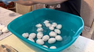 Обработка инкубационного яйца перед закладкой в инкубатор.