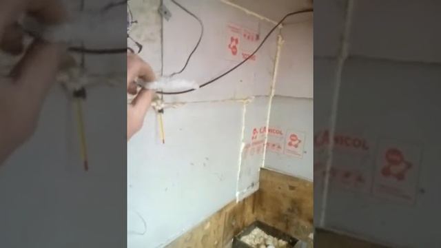 Курятник зимой (курятник для ленивых) смотреть онлайн