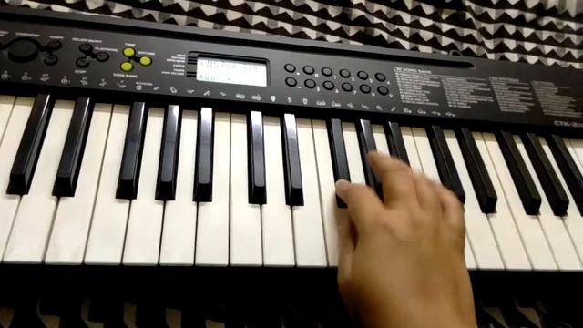 Jana Gana Mana on Casio CTK-245 смотреть онлайн