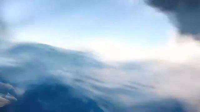 #медитация #эзотерика #дельфин медитация полет дельфина смотреть онлайн