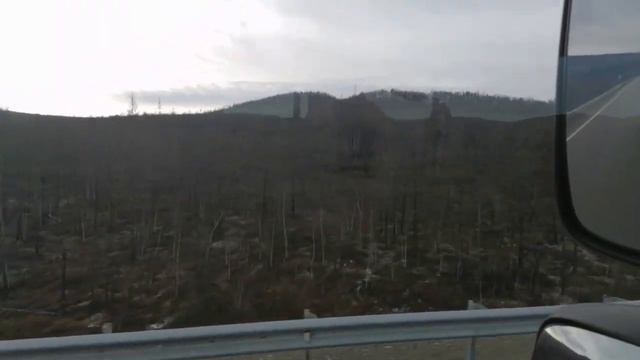 Рабочие будни. Тайга. Чита встретила снегопадом))) смотреть онлайн