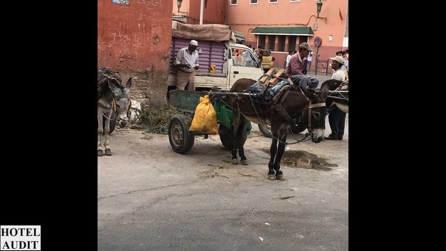 Марокко Марракеш Джемаа эль Фна Jemaa el Fnaa 29 1 AUDITHOTEL АудитОтель смотреть онлайн