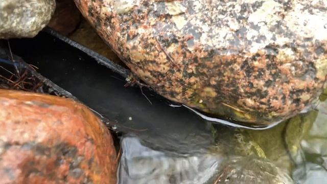 Пруд на даче свой пруд про подачу дождевой воды и подмену воды￼? Свежая вода в пруду смотреть онлайн