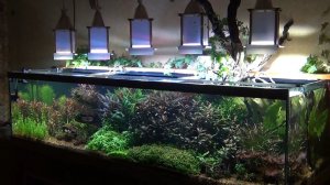 Удобрение для аквариумных растений своими руками. Фосфор, Азот,Калий и Микро.