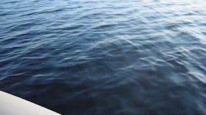 Электромотор Minn Kota Endura 30 и ПВХ Smart 310