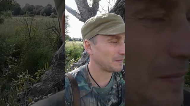 Охота на Вяхиря,24 августа 2017 г. смотреть онлайн