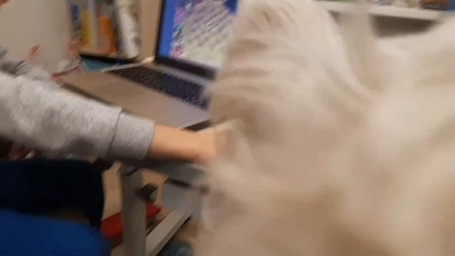 Занятия по шахматам на компьютере смотреть онлайн