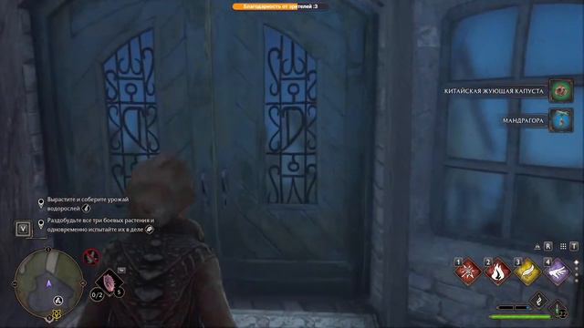 Hogwarts Legacy - Прохождение за Пуффендуй (ч. 5) смотреть онлайн